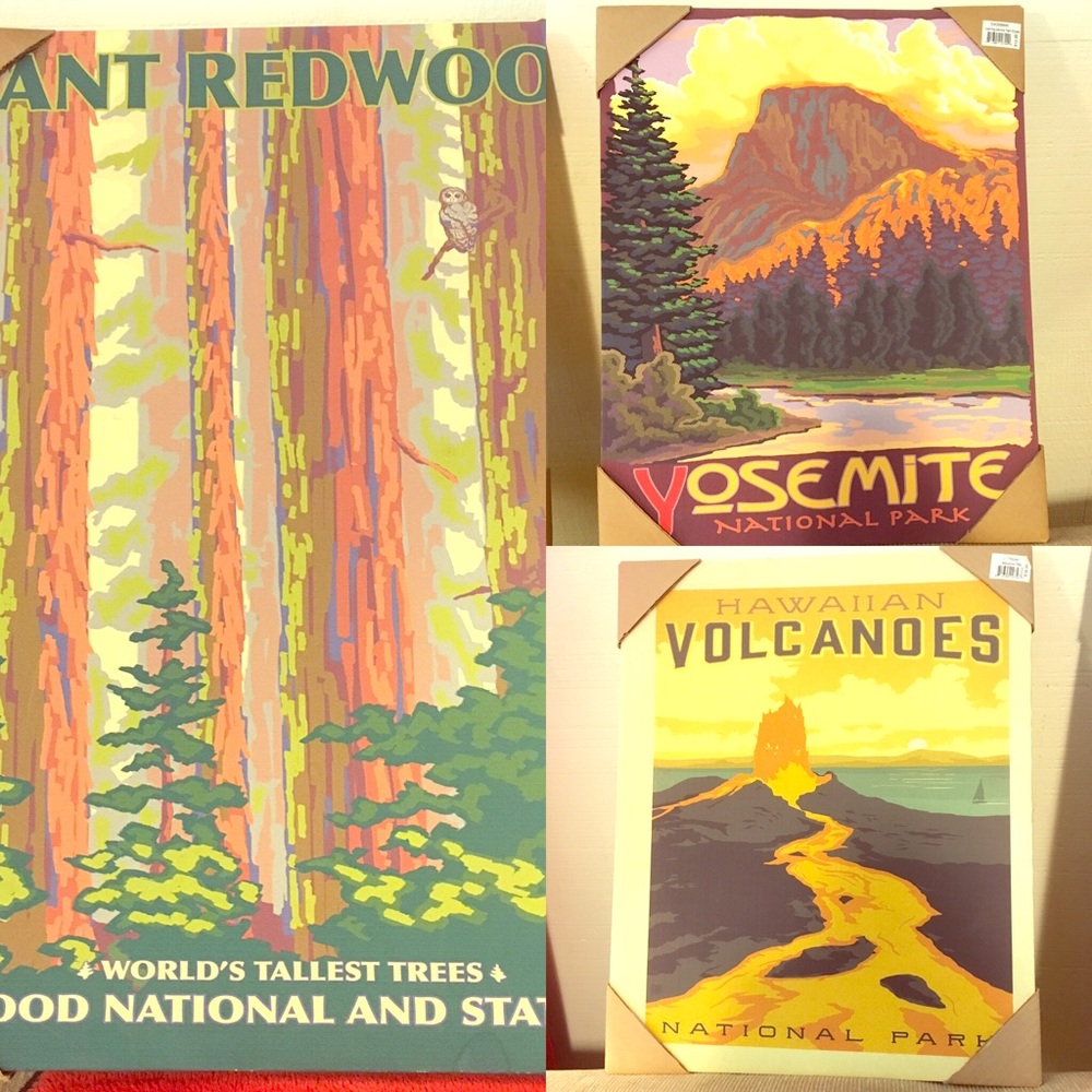 NEW Set of 3 WPA National Parks Canvas Art Prints